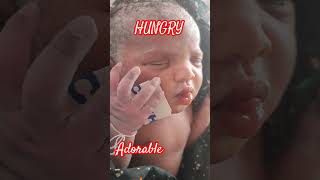 Newborn baby very hungry after birth immediately [upl. by Nwahsir4]