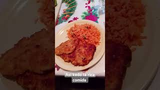 Milanesa empanizada con arroz 🥘 [upl. by Herod]