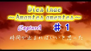 【Dies irae】実況Amantes amentes本編〈その１〉時間が止まればいいと思った [upl. by Ennairac56]