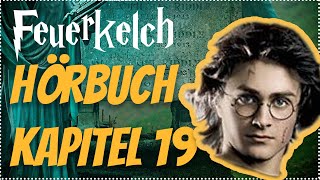 Harry Potter und der Feuerkelch Hörbuch Kapitel 19 Hörspiel Erwachsene Hörbuch Hörspiel [upl. by Bridgette972]