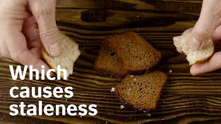 How baking freshness enzymes work [upl. by Llerraf]