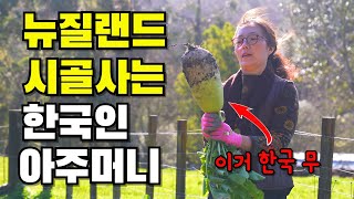 한국사람 1도 없는 뉴질랜드 오지 마을 일상 [upl. by Fasta898]