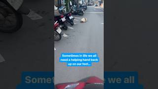 This overfed and sick street dog was down but not out You got this Cindy Crawford rescuedogs dog [upl. by Aihsak]