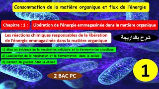 Consommation de la matière organique et flux dénergie 2bac pcSVT partie 1 شرح بالداريجة [upl. by Euqinna]