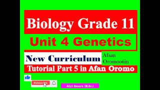 New Curriculum Biology Grade 11 Unit 4 Genetics Tutorial part 5 in Afan Oromo [upl. by Alphonso962]