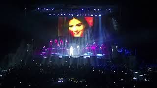 Al Bano e Romina Power  Tu soltanto tu Live [upl. by Quackenbush]