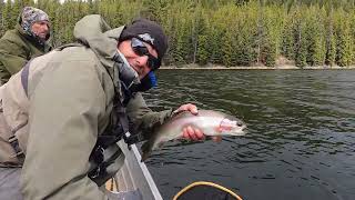 Eight days Nine Lakes  Fly Fishing the OkanaganThompson Region [upl. by Tse]