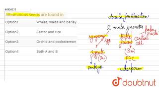 Albuminous seeds are found in [upl. by Teriann427]