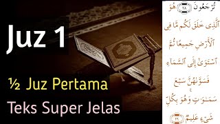 Semua Bisa Tartil Alquran dengan Mudah belajaralquran belajarmengajiquran tartil [upl. by Roon642]