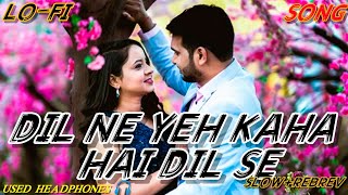 Dil Ne Ye Kaha Hai Dil Se new trending Hindi loveromantic lofi songslow revreb lofi song2024 [upl. by Sluiter]