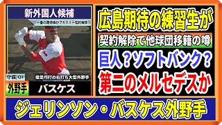 【速報】広島カープの練習生！ジェリンソン・バスケス外野手が契約解除で日本の他球団と契約か？ [upl. by Tfat]