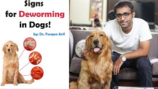 Signs that your dog has worms By Dr Furqan Arif [upl. by Reinal]