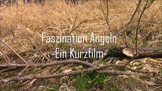 Faszination Angeln  Ein Kurzfilm [upl. by Ecirtahs584]