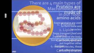 What are Macromolecules [upl. by Henryetta]