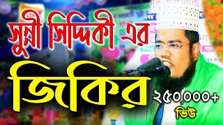 Jikir  আল্লাহ তোমার লীলা খেলা  আটরশীর জিকির  রুহুল আমিন সিদ্দীকী জিকির  jikir tv [upl. by Naul]