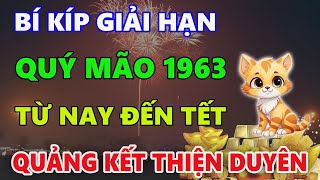 Bí kíp CẢI VẬN tuổi QUÝ MÃO 1963 từ nay đến TẾT 2025 QUẢNG KẾT THIỆN DUYÊN QUÝ NHÂN GIÚP SỨC [upl. by Annehcu944]