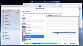 MP3 Audiobook Player  How to add a book via iTunes [upl. by Corly7]