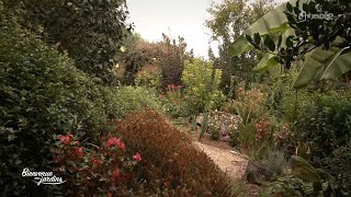 Bienvenue aux jardins  Jardin dHélène [upl. by Levesque]