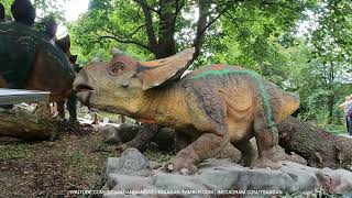 Triceratops juvenile Korkeasaari Zoo [upl. by Lauraine24]