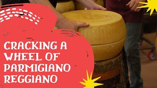 Cracking A Wheel Of Parmigiano Reggiano [upl. by Mayhs]