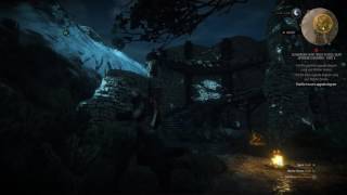 The Witcher 3 Wild Hunt  Part 162  Legendary  Mastercrafted Wolven Trousers Location [upl. by Aydin397]