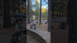 Cruising the wood features at the bike park mtb toddlers shorts [upl. by Jehu]