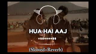 HUA HI AAj  Slowed amp Reverb  2024 in new song 💯 [upl. by Yatnahs38]