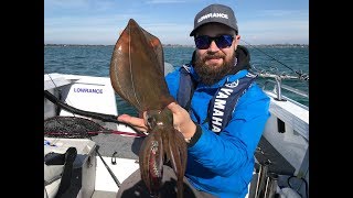 Port Phillip Bay calamari with Dad amp sounding up calamari on Lowrance HDS Carbon [upl. by Naujat]