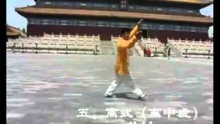 baguazhang 8 palms [upl. by Naillimixam699]