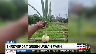 Shreveport Green Urban Farm looking for volunteers [upl. by Leinoto]