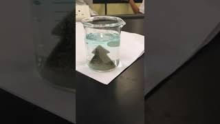 Chemistry reaction  copper foil Cu displacement reaction with silver nitrate AgNO3 [upl. by Niwle]