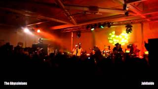 The Abyssinians amp The Congos  Voices of Jamaica  Live [upl. by Vaasta]