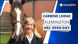 🇦🇺 Godolphin Carbine Lodge  Flemington VRC Open Day 2024 [upl. by Phyllys476]