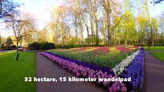 Keukenhof 2020 Nederlands [upl. by Tekla]