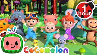 Animal Dance Song  CoComelon  Nursery Rhymes for Babies [upl. by Klaus]