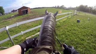 GoPro Chest Mount Horse Riding [upl. by Leinto]