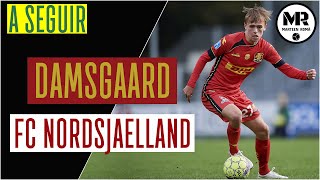 MIKKEL DAMSGAARD  FC NORDSJÆLLAND  Passes Skills amp Goals [upl. by Enigroeg263]