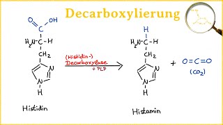 Die Decarboxylierung  Entstehung biogener Amine aus Aminosäuren [upl. by Bruce707]