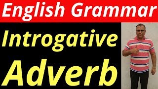 Introgative Adverb  Learn Basic English Grammar In Hindi By Amku Education [upl. by Haden556]