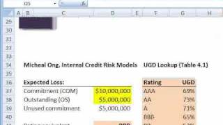 FRM Intro to Credit Adjusted Exposure [upl. by Assetak]