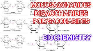 Monosaccharide disaccharide polysaccharide isomer ❤️ [upl. by Thgiwed]