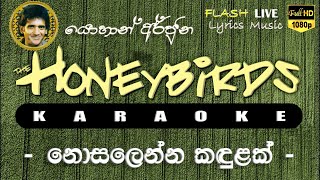 Nosalenna Kadulak Dasin Karaoke Without Voice නොසලෙන්න කඳුළක් දෑසින් කැරෝකේ [upl. by Sherline331]