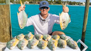 Floridas Most EXPENSIVE FishHeres Why Catch Clean Cook Florida Pompano [upl. by Nosauq]