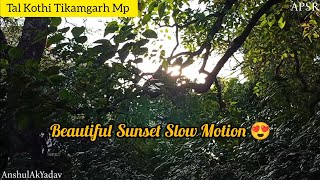 Beautiful Sunset Slow Motion Video 😍😍 Tal Kothi Tikamgarh Mp ❤️ sunset slowmotion tikamgarh mp [upl. by Reni479]