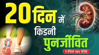 20 दिन में किडनी पुनर्जीवित  Tips to keep your kidney healthy  karma ayurveda reviews trending [upl. by Eiuqnimod]