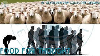 DE GEVOLGEN VAN COLLECTIEF GEDRAG [upl. by Nawtna]