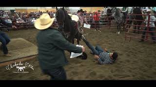 Se cae del caballo bailando en la competencia de caballos bailadores [upl. by Natlus]