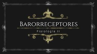 Barorreceptores  BUAP  Fisiología II [upl. by Ailaham164]