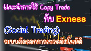 แนะนำการใช้ Copy Trade กับ Exness ระบบคัดลอกการเทรด SocialTrading [upl. by Savanna]