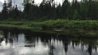 View of Hog Creek from the BWCA Entry Point 36 Portage Landing [upl. by Brent]